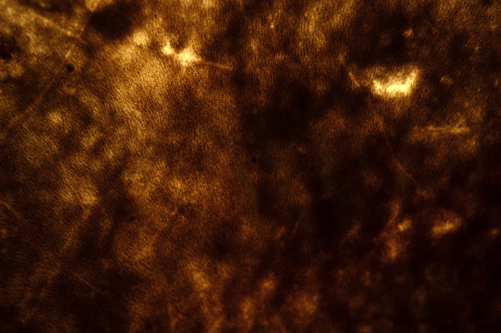 #gadlab Client tambour-chamanique.ch