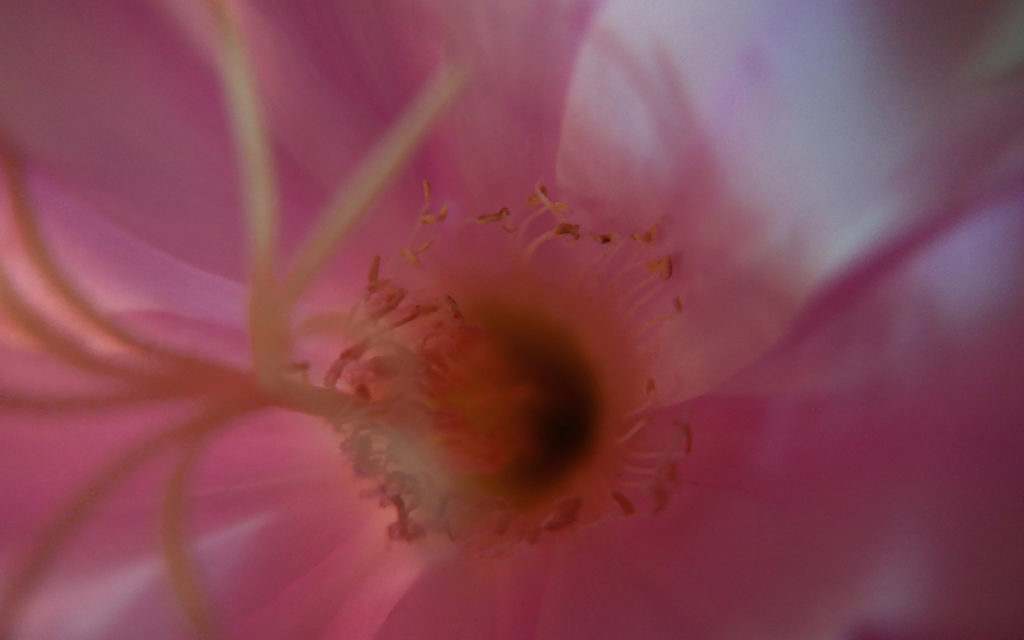 #gadlab Client Relationnel